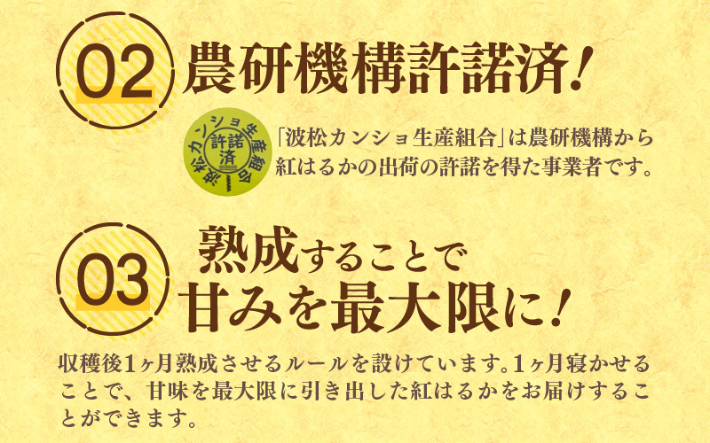 【先行予約】あわら市波松産 紅はるか 5kg / 厳選 不揃い さつまいも 土付き 熟成 焼き芋 福井県 薩摩芋 密芋 スイートポテト しっとり ほっくり 自然のスイーツ 極甘 農研機構許諾済 メディアで人気 腸活 ※2026年10月上旬以降順次発送予定 [aw084-a002]