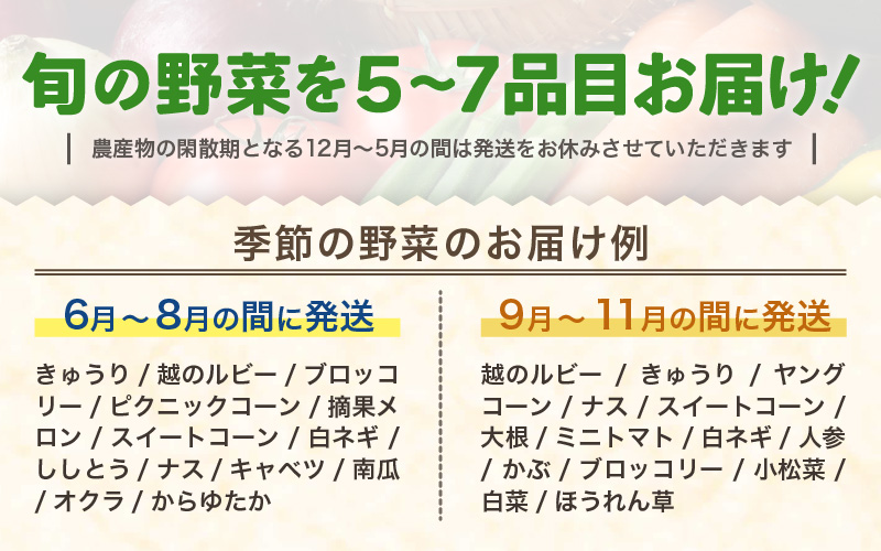 【1週間以内で発送！】道の駅駅長チョイス！ 旬の野菜セット 5品目以上 / 季節 野菜 ボックス BOX セット セレクト 農家 おまかせ 多品目 旬 詰め合わせ 根菜 葉物  [aw090-a002]