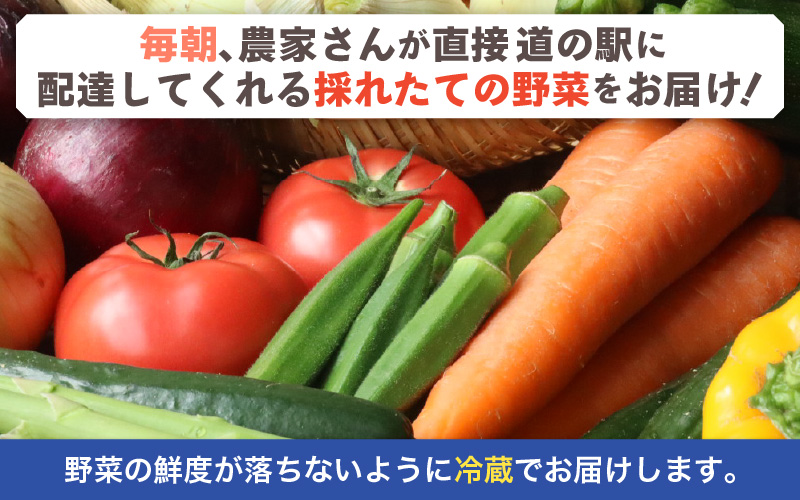 【1週間以内で発送！】道の駅駅長チョイス！ 旬の野菜セット 5品目以上 / 季節 野菜 ボックス BOX セット セレクト 農家 おまかせ 多品目 旬 詰め合わせ 根菜 葉物  [aw090-a002]
