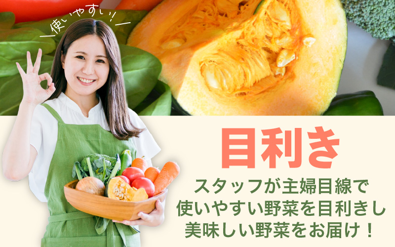 【1週間以内で発送！】道の駅駅長チョイス！ 旬の野菜セット 5品目以上 / 季節 野菜 ボックス BOX セット セレクト 農家 おまかせ 多品目 旬 詰め合わせ 根菜 葉物  [aw090-a002]