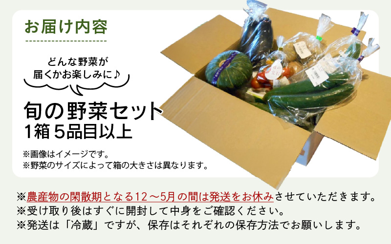 【1週間以内で発送！】道の駅駅長チョイス！ 旬の野菜セット 5品目以上 / 季節 野菜 ボックス BOX セット セレクト 農家 おまかせ 多品目 旬 詰め合わせ 根菜 葉物  [aw090-a002]