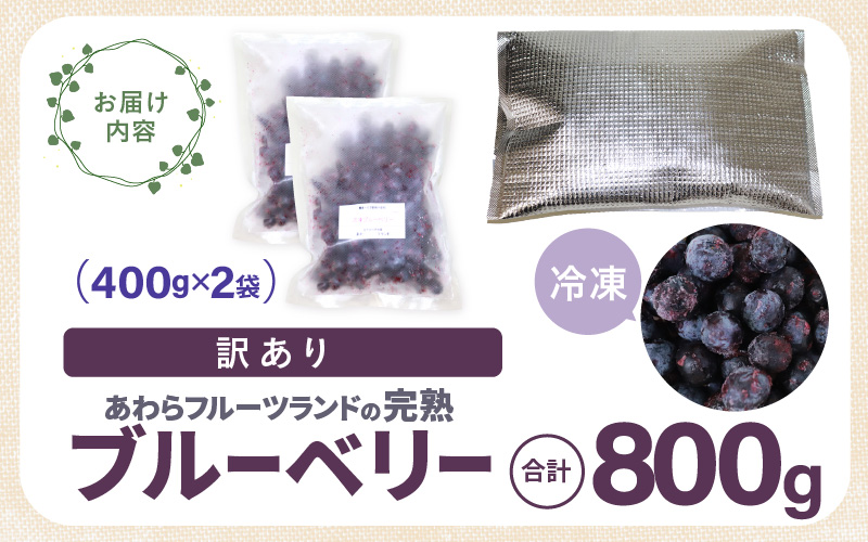 【先行予約】【訳あり】【冷凍】あわらフルーツランドのブルーベリー 800g （400g×2袋） 【完熟】 / フルーツ 果物 くだもの 福井県 あわら市 小分け 便利 たっぷり 完熟 ご当地 国産 おすすめ ※2026年8月上旬より順次発送 [aw091-a002]