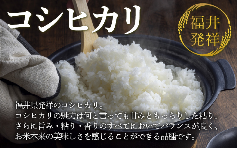 【先行予約】【令和8年産 新米】コシヒカリ 精米 10kg（5kg×2袋）JGAP認証米 / 米 10キロ 福井県産 ブランド米 一等米 ご飯 白米 お米 コメ 新鮮 小分け ※2026年10月上旬より順次発送 [aw094-b003]