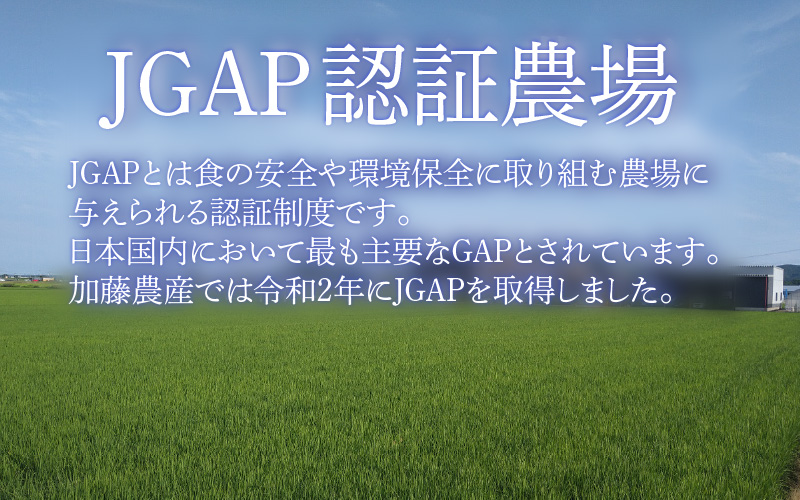 【先行予約】【令和8年産 新米】コシヒカリ 精米 10kg（5kg×2袋）JGAP認証米 / 米 10キロ 福井県産 ブランド米 一等米 ご飯 白米 お米 コメ 新鮮 小分け ※2026年10月上旬より順次発送 [aw094-b003]