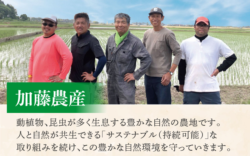 【先行予約】【令和8年産 新米】コシヒカリ 精米 10kg（5kg×2袋）JGAP認証米 / 米 10キロ 福井県産 ブランド米 一等米 ご飯 白米 お米 コメ 新鮮 小分け ※2026年10月上旬より順次発送 [aw094-b003]