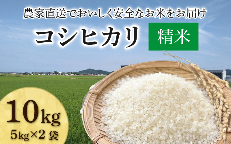 【先行予約】【令和8年産 新米】コシヒカリ 精米 10kg（5kg×2袋）JGAP認証米 / 米 10キロ 福井県産 ブランド米 一等米 ご飯 白米 お米 コメ 新鮮 小分け ※2026年10月上旬より順次発送 [aw094-b003]