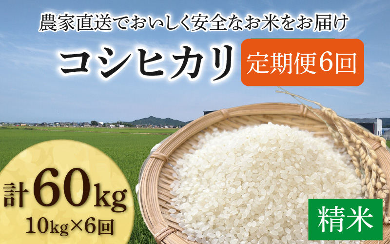 【先行予約】【令和8年産 新米】《定期便6回》コシヒカリ 精米 10kg（5kg×2袋) JGAP認証米 / 米 10キロ 福井県産 ブランド米 一等米 ご飯 白米 お米 コメ 新鮮 小分け ※2026年10月上旬より順次発送 [aw094-k002]