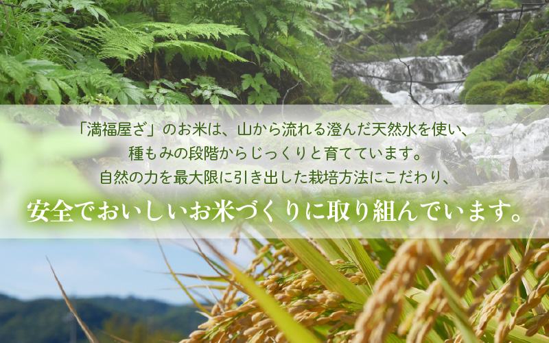【先行予約】【令和8年産】コシヒカリ 玄米 20kg / 米 こしひかり コシヒカリ 福井県 一等米 玄米 あわら市 福井県 コスパ ※2026年9月下旬より順次発送予定 [aw096-d004]