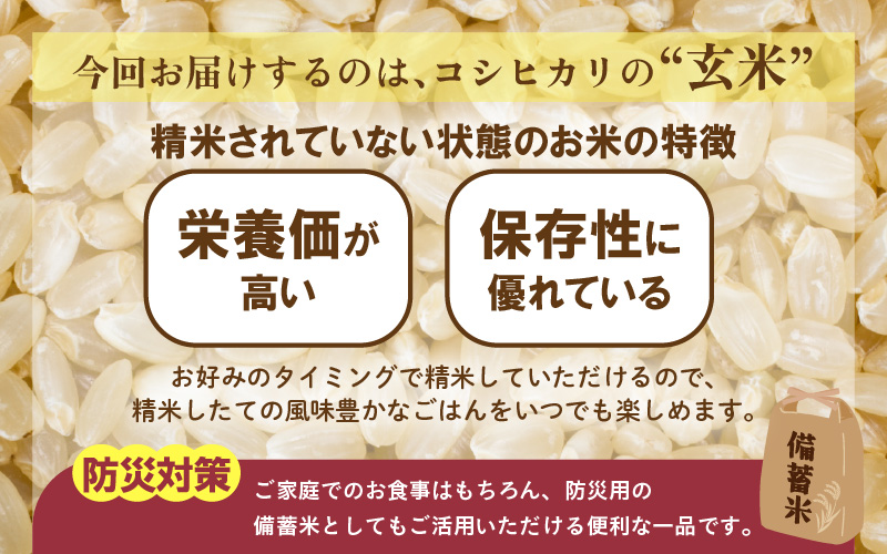 【先行予約】【令和8年産】コシヒカリ 玄米 20kg / 米 こしひかり コシヒカリ 福井県 一等米 玄米 あわら市 福井県 コスパ ※2026年9月下旬より順次発送予定 [aw096-d004]