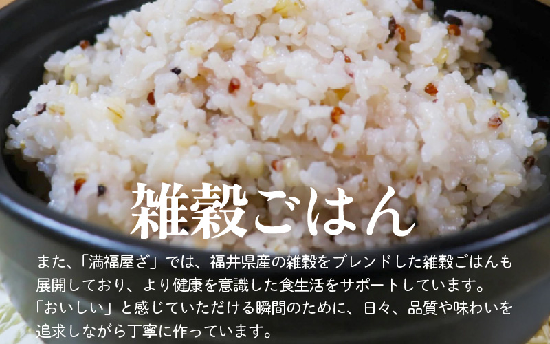 【先行予約】【令和8年産】コシヒカリ 玄米 20kg / 米 こしひかり コシヒカリ 福井県 一等米 玄米 あわら市 福井県 コスパ ※2026年9月下旬より順次発送予定 [aw096-d004]