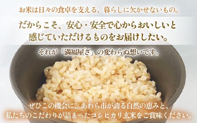 【先行予約】【令和8年産】コシヒカリ 玄米 20kg / 米 こしひかり コシヒカリ 福井県 一等米 玄米 あわら市 福井県 コスパ ※2026年9月下旬より順次発送予定 [aw096-d004]