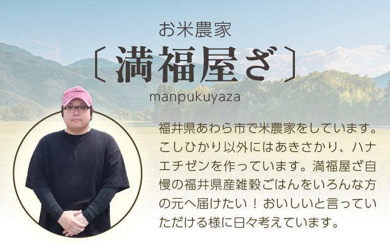 【先行予約】【令和8年産】コシヒカリ 玄米 20kg / 米 こしひかり コシヒカリ 福井県 一等米 玄米 あわら市 福井県 コスパ ※2026年9月下旬より順次発送予定 [aw096-d004]