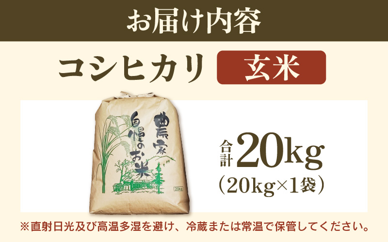 【先行予約】【令和8年産】コシヒカリ 玄米 20kg / 米 こしひかり コシヒカリ 福井県 一等米 玄米 あわら市 福井県 コスパ ※2026年9月下旬より順次発送予定 [aw096-d004]
