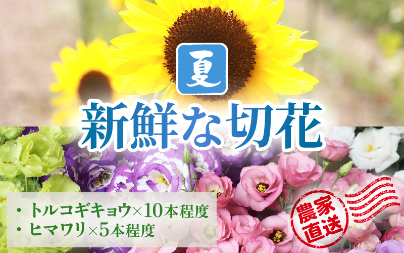 【先行予約】花農家直送 新鮮な切花【夏】 / 生花 お花 旬の花束 豊かな生活 花のある生活 15本程度 2種 季節 花 ※2026年8月上旬以降発送予定 [aw099-a002]