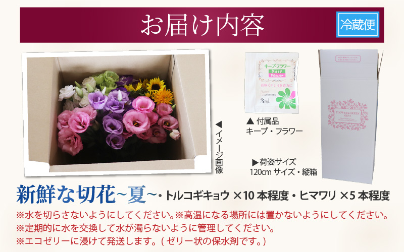 【先行予約】花農家直送 新鮮な切花【夏】 / 生花 お花 旬の花束 豊かな生活 花のある生活 15本程度 2種 季節 花 ※2026年8月上旬以降発送予定 [aw099-a002]