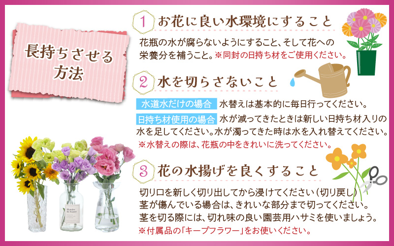 【先行予約】花農家直送 新鮮な切花【秋】 / 生花 お花 旬の花束 豊かな生活 花のある生活 15本程度 2種 季節 花 ※2026年9月中旬以降発送予定 [aw099-a003]