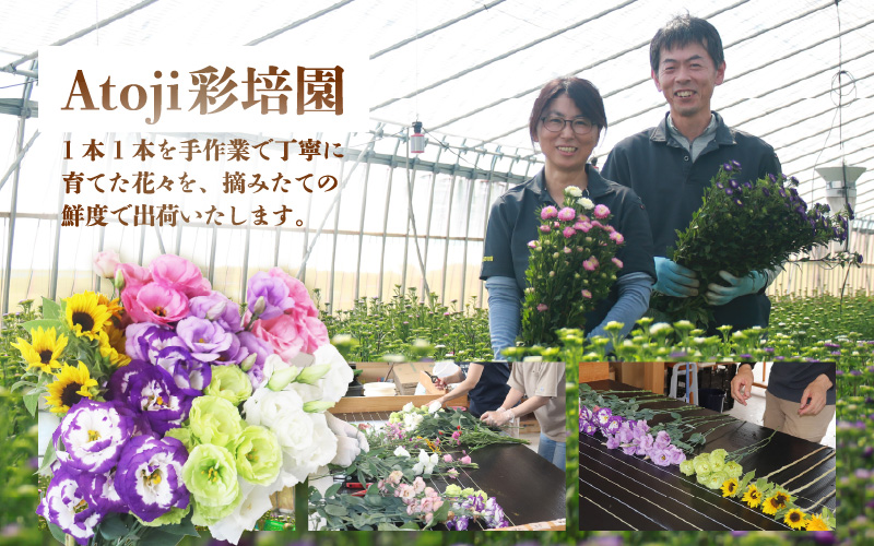 【先行予約】花農家直送 新鮮な切花【秋】 / 生花 お花 旬の花束 豊かな生活 花のある生活 15本程度 2種 季節 花 ※2026年9月中旬以降発送予定 [aw099-a003]