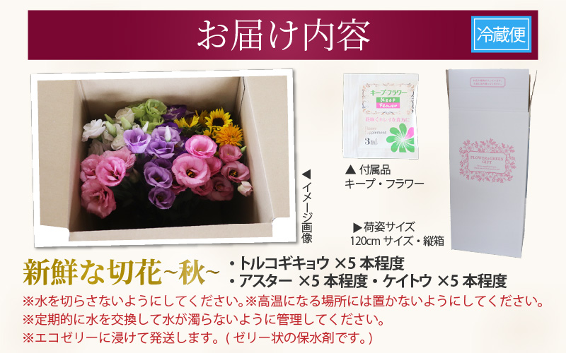 【先行予約】花農家直送 新鮮な切花【秋】 / 生花 お花 旬の花束 豊かな生活 花のある生活 15本程度 2種 季節 花 ※2026年9月中旬以降発送予定 [aw099-a003]