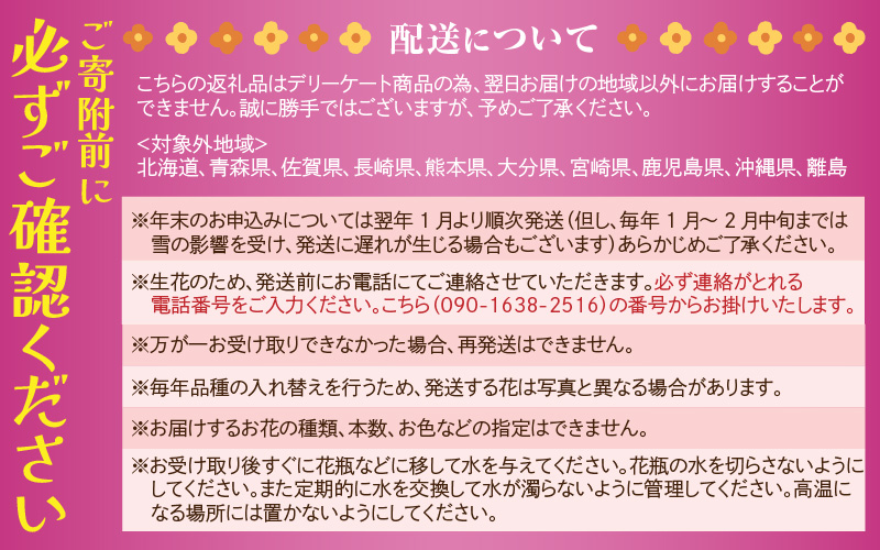 【先行予約】花農家直送 新鮮な切花【冬】 / 生花 お花 旬の花束 豊かな生活 花のある生活 15本程度 2種 季節 花 ※2026年12月下旬以降発送予定 [aw099-a004]