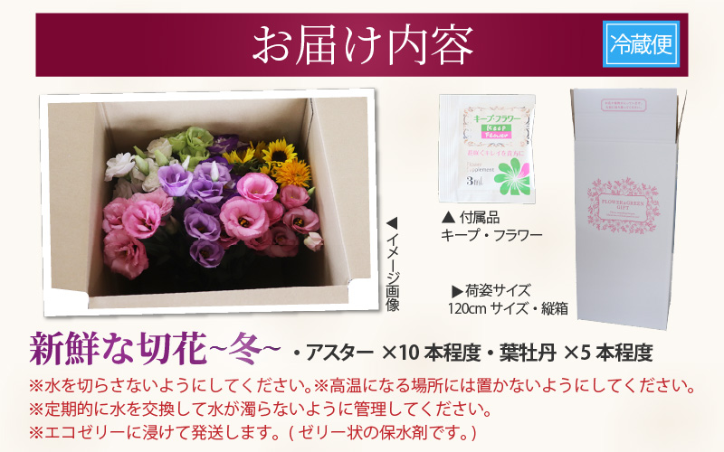 【先行予約】花農家直送 新鮮な切花【冬】 / 生花 お花 旬の花束 豊かな生活 花のある生活 15本程度 2種 季節 花 ※2026年12月下旬以降発送予定 [aw099-a004]