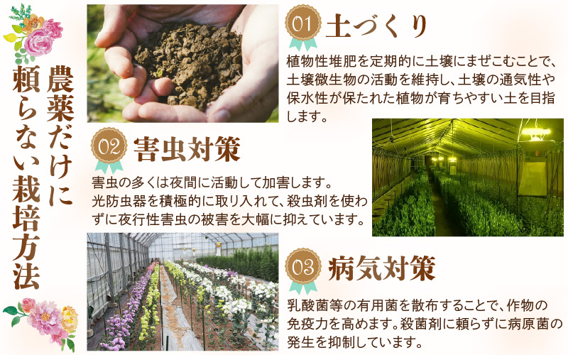【定期便4回】花農家直送 新鮮な切花【春 夏 秋 冬】 / 生花 お花 旬の花束 豊かな生活 花のある生活 15本程度 2種 季節 年4回 [aw099-d001]