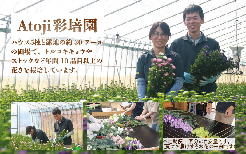 【定期便4回】花農家直送 新鮮な切花【春 夏 秋 冬】 / 生花 お花 旬の花束 豊かな生活 花のある生活 15本程度 2種 季節 年4回 [aw099-d001]