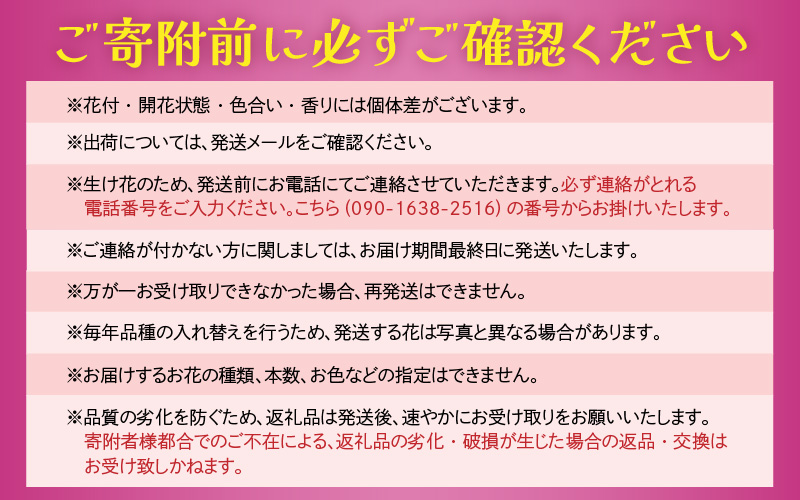 【定期便4回】花農家直送 新鮮な切花【春 夏 秋 冬】 / 生花 お花 旬の花束 豊かな生活 花のある生活 15本程度 2種 季節 年4回 [aw099-d001]