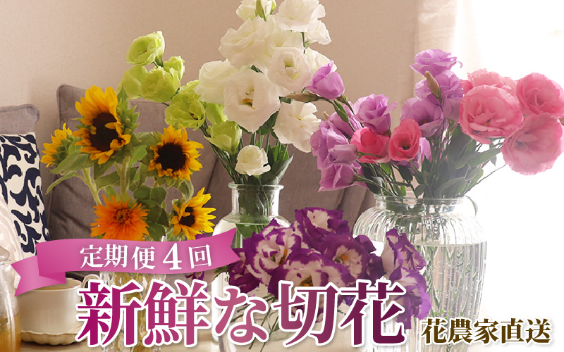 【定期便4回】花農家直送 新鮮な切花【春 夏 秋 冬】 / 生花 お花 旬の花束 豊かな生活 花のある生活 15本程度 2種 季節 年4回 [aw099-d001]