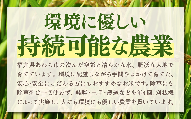 令和7年産 あきさかり　無洗米 10kg × 1袋（計10kg） ／ 米 10キロ 福井県産 ブランド米 あきさかり ご飯 白米 新鮮 高品質米 [aw121-a003]