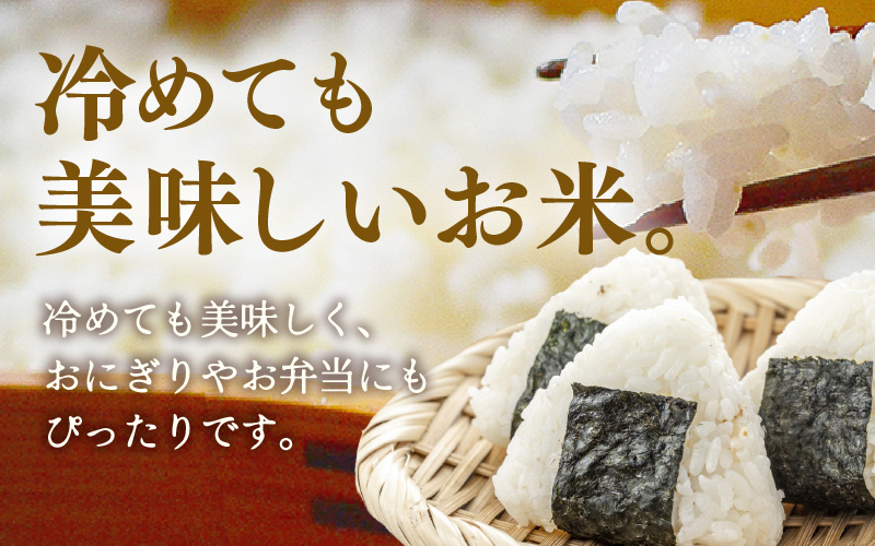令和7年産 あきさかり　無洗米 10kg × 1袋（計10kg） ／ 米 10キロ 福井県産 ブランド米 あきさかり ご飯 白米 新鮮 高品質米 [aw121-a003]