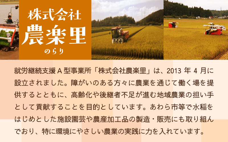 令和7年産 あきさかり　無洗米 10kg × 1袋（計10kg） ／ 米 10キロ 福井県産 ブランド米 あきさかり ご飯 白米 新鮮 高品質米 [aw121-a003]