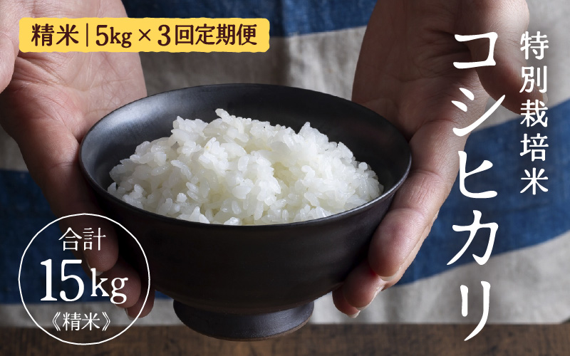 【先行予約】【令和8年産】定期便 ≪3ヶ月連続お届け≫ 特別栽培米 コシヒカリ 精米 5kg×3回（計15kg）※2026年10月上旬より順次発送 [aw121-c001]