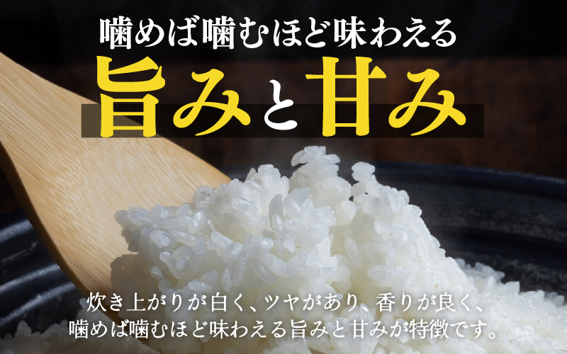 【先行予約】【令和8年産】定期便 ≪3ヶ月連続お届け≫ 特別栽培米 コシヒカリ 精米 5kg×3回（計15kg）※2026年10月上旬より順次発送 [aw121-c001]