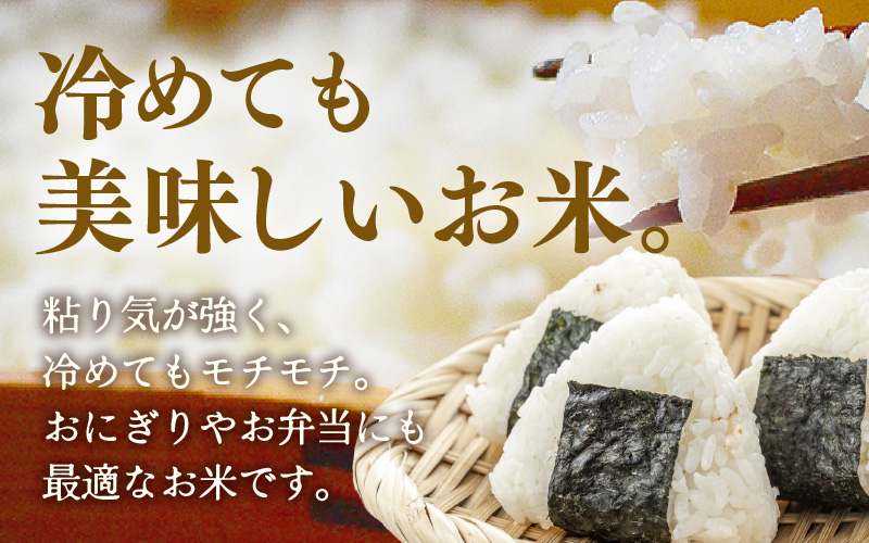 【先行予約】【令和8年産】定期便 ≪3ヶ月連続お届け≫ 特別栽培米 コシヒカリ 精米 5kg×3回（計15kg）※2026年10月上旬より順次発送 [aw121-c001]