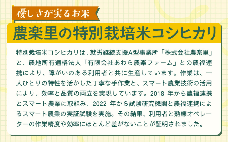 【先行予約】【令和8年産】定期便 ≪3ヶ月連続お届け≫ 特別栽培米 コシヒカリ 精米 5kg×3回（計15kg）※2026年10月上旬より順次発送 [aw121-c001]