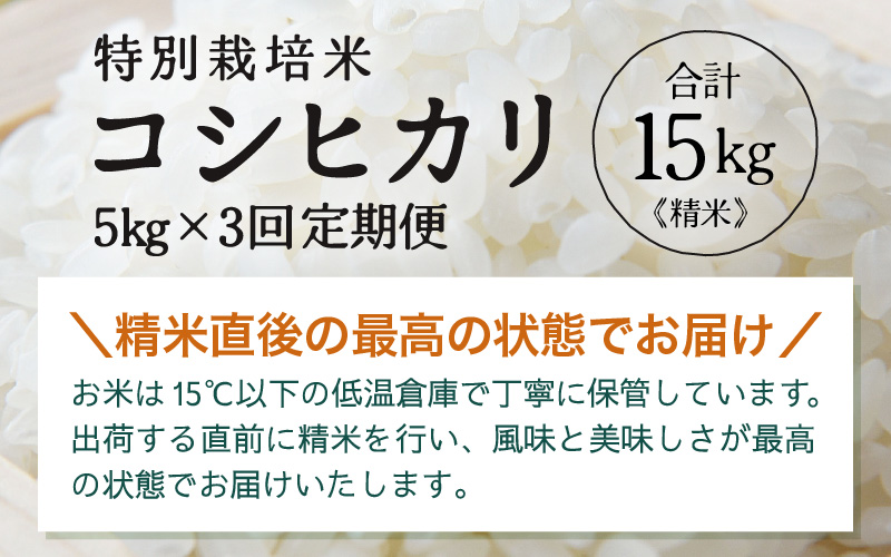 【先行予約】【令和8年産】定期便 ≪3ヶ月連続お届け≫ 特別栽培米 コシヒカリ 精米 5kg×3回（計15kg）※2026年10月上旬より順次発送 [aw121-c001]