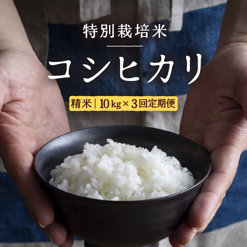 【先行予約】【令和8年産】定期便 ≪3ヶ月連続お届け≫ 令和7年産 特別栽培米 コシヒカリ 精米 10kg×3回（計30kg）※2026年10月上旬より順次発送 [aw121-f002]