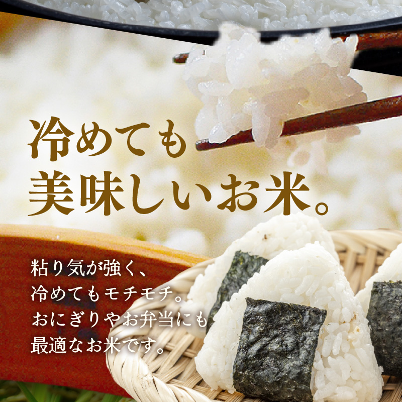 【先行予約】【令和8年産】定期便 ≪3ヶ月連続お届け≫ 令和7年産 特別栽培米 コシヒカリ 精米 10kg×3回（計30kg）※2026年10月上旬より順次発送 [aw121-f002]