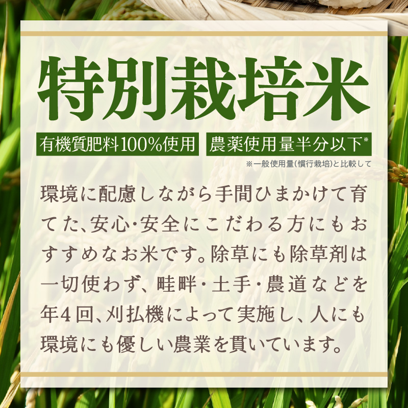 【先行予約】【令和8年産】定期便 ≪3ヶ月連続お届け≫ 令和7年産 特別栽培米 コシヒカリ 精米 10kg×3回（計30kg）※2026年10月上旬より順次発送 [aw121-f002]