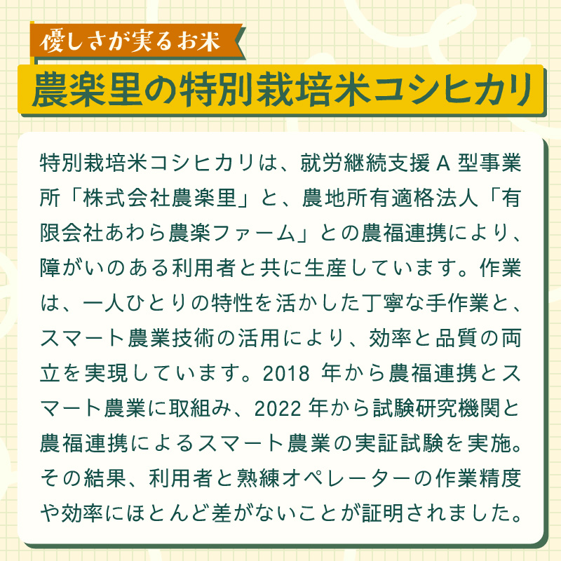 【先行予約】【令和8年産】定期便 ≪3ヶ月連続お届け≫ 令和7年産 特別栽培米 コシヒカリ 精米 10kg×3回（計30kg）※2026年10月上旬より順次発送 [aw121-f002]