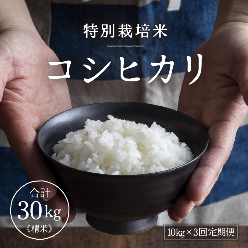 【先行予約】【令和8年産】定期便 ≪3ヶ月連続お届け≫ 令和7年産 特別栽培米 コシヒカリ 精米 10kg×3回（計30kg）※2026年10月上旬より順次発送 [aw121-f002]
