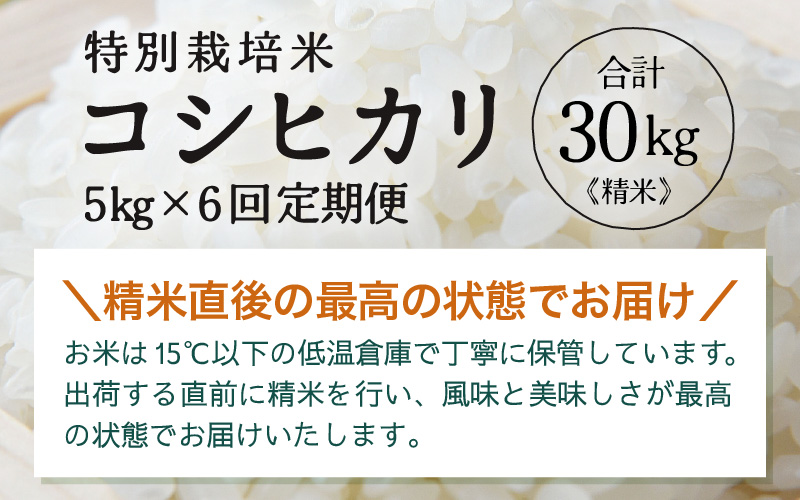 【先行予約】【令和8年産】定期便 ≪6ヶ月連続お届け≫ 特別栽培米 コシヒカリ 精米 5kg×6回（計30kg）※2026年10月上旬より順次発送 [aw121-f001]
