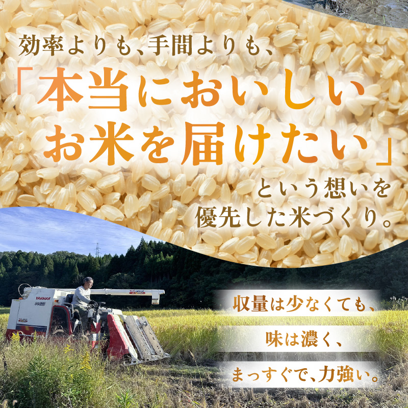 【先行予約】【令和8年産】コシヒカリ 玄米 5kg 化学肥料 農薬不使用 自然栽培米 / 北陸 福井県産 あわら市 ブランド米 玄米 お米 コメ ※2026年10月上旬以降順次発送予定 [aw138-b001]