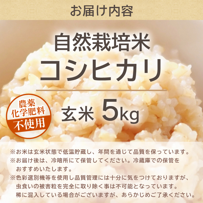 【先行予約】【令和8年産】コシヒカリ 玄米 5kg 化学肥料 農薬不使用 自然栽培米 / 北陸 福井県産 あわら市 ブランド米 玄米 お米 コメ ※2026年10月上旬以降順次発送予定 [aw138-b001]