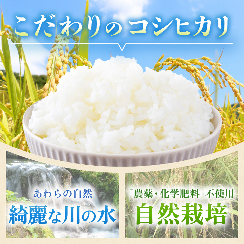【先行予約】【令和8年産】コシヒカリ 精米 5kg 化学肥料 農薬不使用 自然栽培米 / 北陸 福井県産 あわら市 ブランド米 白米 お米 コメ ※2026年10月上旬以降順次発送予定 [aw138-b002]