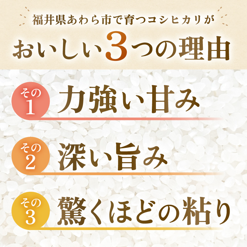 【先行予約】【令和8年産】コシヒカリ 精米 5kg 化学肥料 農薬不使用 自然栽培米 / 北陸 福井県産 あわら市 ブランド米 白米 お米 コメ ※2026年10月上旬以降順次発送予定 [aw138-b002]