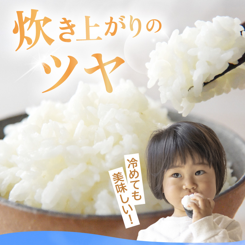 【先行予約】【令和8年産】コシヒカリ 精米 5kg 化学肥料 農薬不使用 自然栽培米 / 北陸 福井県産 あわら市 ブランド米 白米 お米 コメ ※2026年10月上旬以降順次発送予定 [aw138-b002]