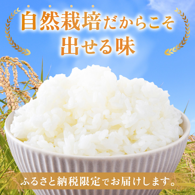 【先行予約】【令和8年産】コシヒカリ 精米 5kg 化学肥料 農薬不使用 自然栽培米 / 北陸 福井県産 あわら市 ブランド米 白米 お米 コメ ※2026年10月上旬以降順次発送予定 [aw138-b002]