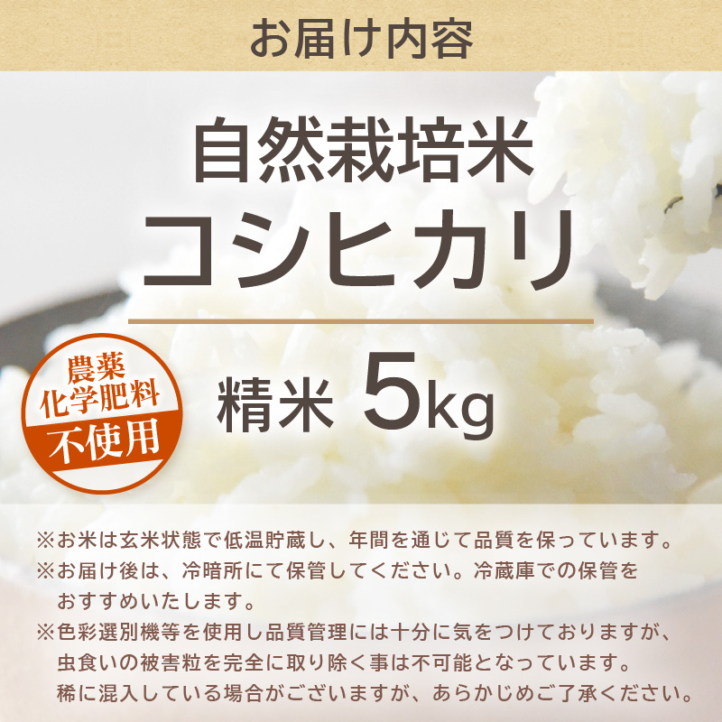 【先行予約】【令和8年産】コシヒカリ 精米 5kg 化学肥料 農薬不使用 自然栽培米 / 北陸 福井県産 あわら市 ブランド米 白米 お米 コメ ※2026年10月上旬以降順次発送予定 [aw138-b002]