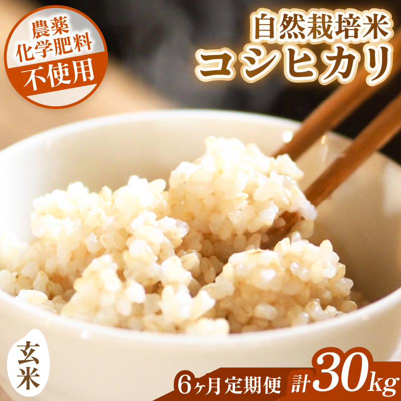 【先行予約】【令和8年産】【定期便】≪6ヶ月連続お届け≫ コシヒカリ 玄米 5kg×6回 （計30kg）化学肥料 農薬不使用 自然栽培米 / 北陸 福井県産 あわら市 ブランド米 玄米 お米 コメ ※2026年10月上旬以降順次発送予定 [aw138-k001]